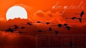 180483_164359913614062_8254190_n