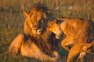 182994_164487096934677_889140_n