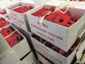 Freelance photo - CanWest use only // Toronto, Ontario - 20071105 --  Legion 2 -- Boxes of poppies stand ready to be distributed at the Royal Canadian Legion Branch 258 on Sunday, Nov. 4, 2007.  Photo by Tim Fraser for National Post (For Toronto Weekend story by Adam McDowell)