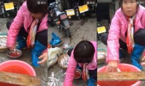 20151214_CH_染紅九肚魚_1