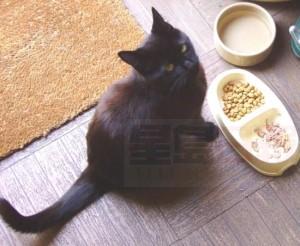 o3OQZ__Screen-Shot-2015-09-08-at-7.57.30-pm_0