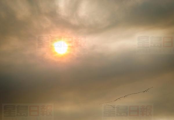 A flock of geese fly through smoke from the Fort McMurray wildfires above a helicopter staging base near Conklin, Alta., Saturday, May 7, 2016.THE CANADIAN PRESS/Jeff McIntosh