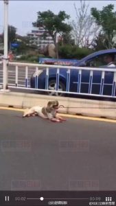 3846c11946194203a57717050c967fd320160801181104