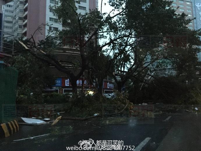 9d688d31jw1f7tzfk4p1vj20zk0qo49z