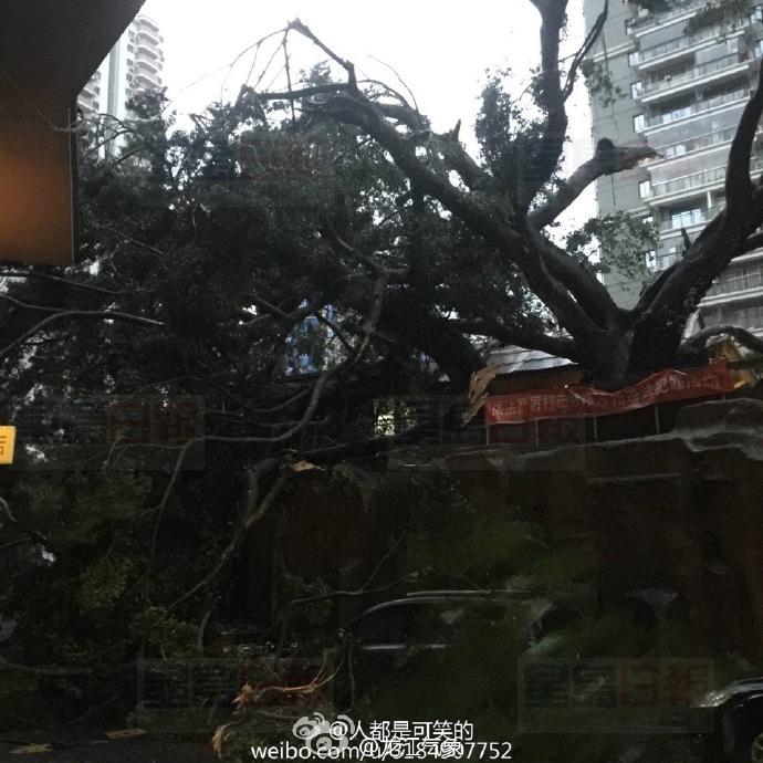 9d688d31jw1f7tzg7p2a4j20qo0qoahk