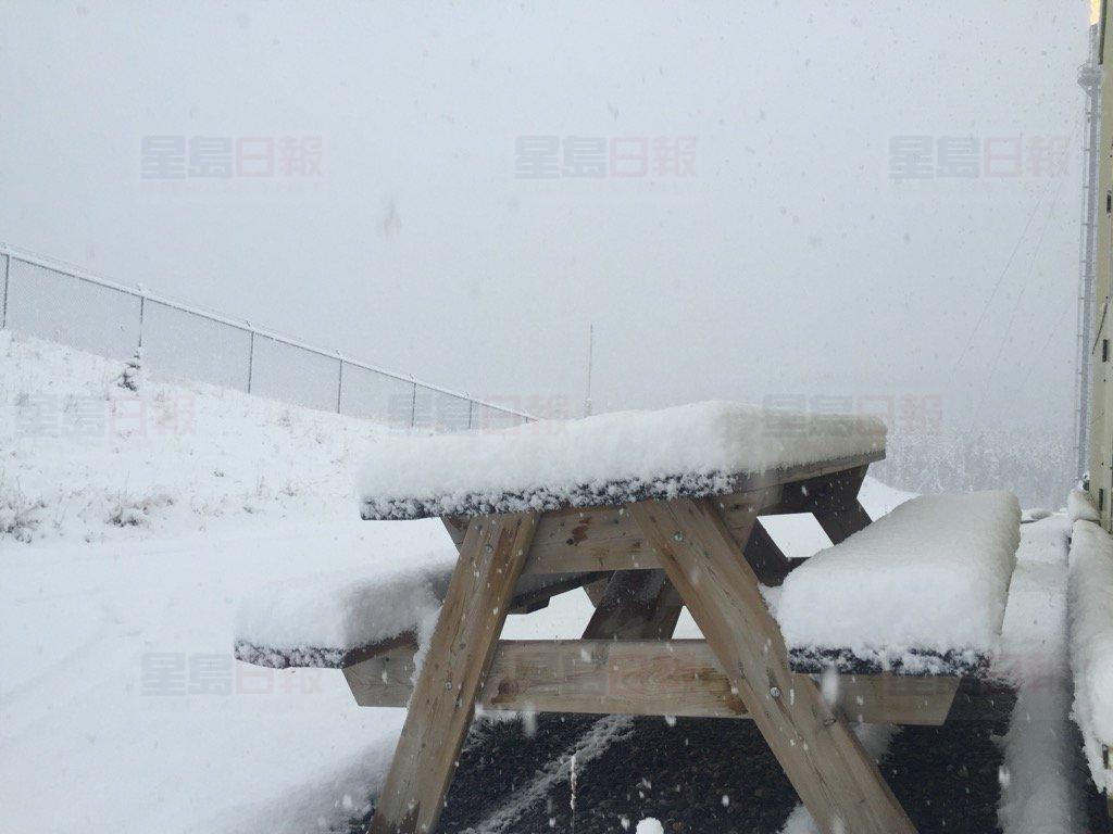 CszuoeLWEAAZqG5.jpg large