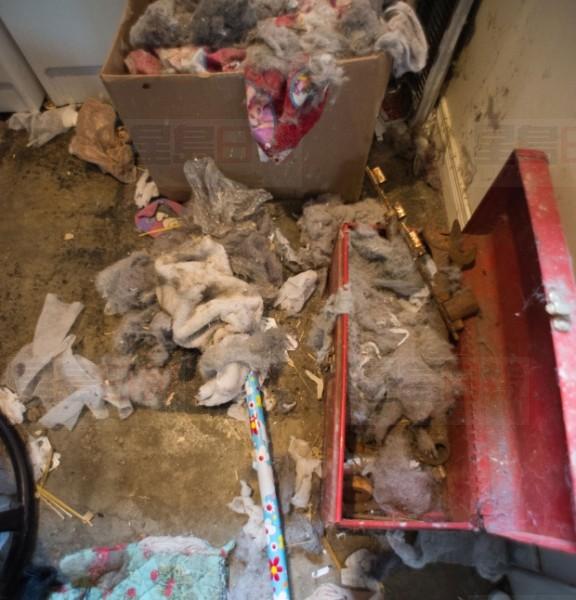 laundry-room-kingston-simon-andrew