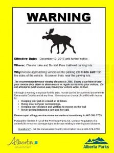 moose-warning-chester_burstall-dec-13-2016
