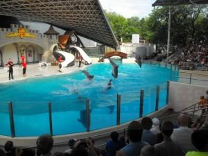 20170115_LI_Marineland1