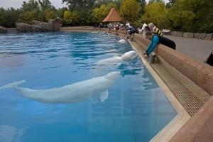 20170115_LI_Marineland2