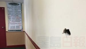 bullet-holes-quebec-city-mosque