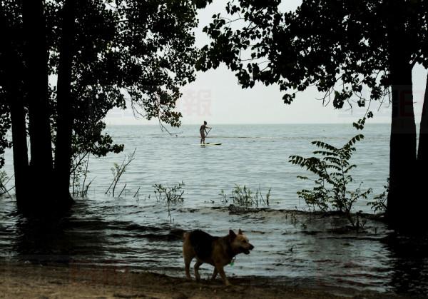 A women paddle boards along Lake Ontario in the extreme heat in Toronto on Friday, July 19, 2019. THE CANADIAN PRESS/Nathan Denette