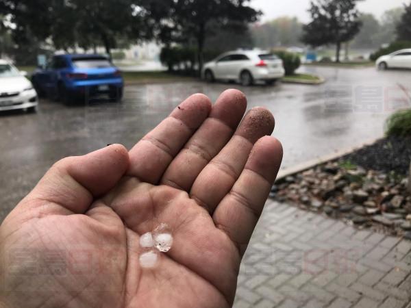 dae1b3cf-41f7-40a8-8585-4cb9e74c3a64