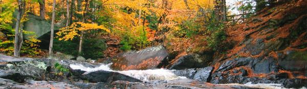 圖:安省公園管理局