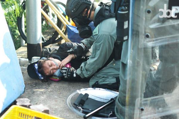 74281700_3345513625475828_389796427032690688_n