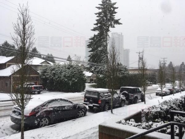 Metro Vancouver snow -Jan 10 (3)