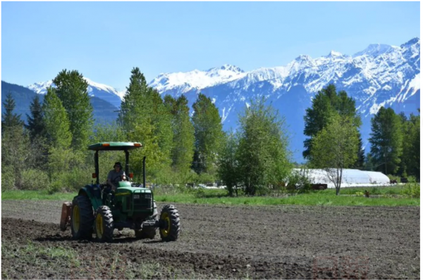 赫爾莫的土豆農場。 CBC/赫爾莫提供