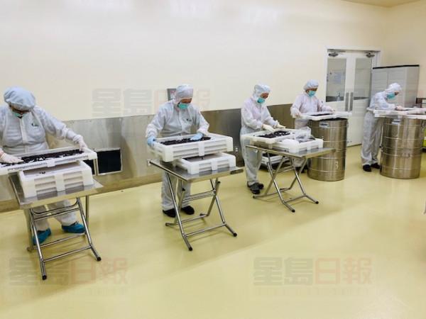 藥廠員工不但在防塵室內工作，更穿著標準的防護裝備，保障藥品安全。受訪者提供