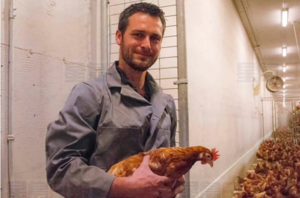 西門子是一名蛋農。 CBC/西門子提供