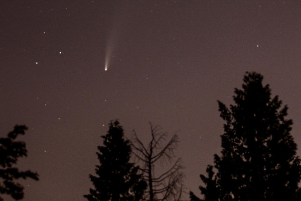 溫哥華伊利沙伯女王公園上空抓拍到的尼歐懷茲。 歐陽岳勳攝