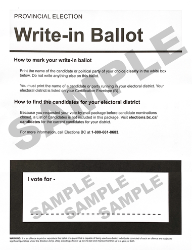 Debbie- Ballot 2