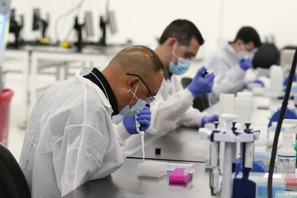 Technicians conduct COVID-19 tests at a new facility Friday, Oct. 30, 2020, in Valencia, Calif. California Gov. Gavin Newsom announced the new $120 million, 134,000 sq. foot coronavirus testing facility in Valencia Friday. The state is working with corporate partner PerkinElmer to run the lab, which will enable the state to process an additional 150,000 COVID-19 tests per day. (AP Photo/Marcio Jose Sanchez, Pool)