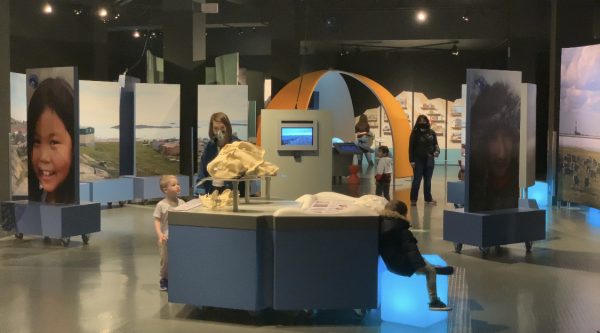 小朋友們可以與科學家一起探索北極元素。  張譽攝