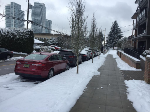 高貴林雪景。 本報記者攝