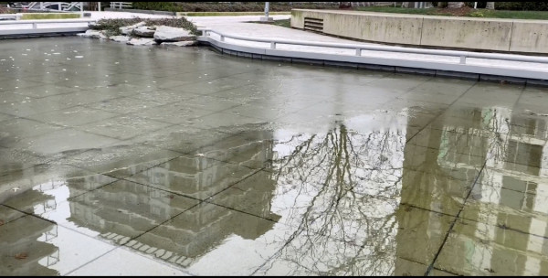 列治文戶外水池半冰半水狀態。         張譽攝