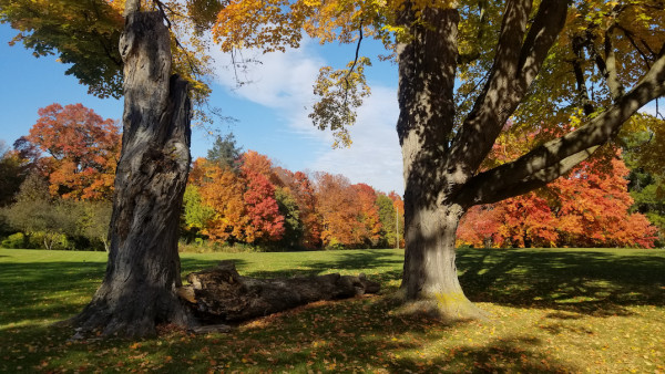 Sunnybrook Park (Toronto Canada) in Autumn