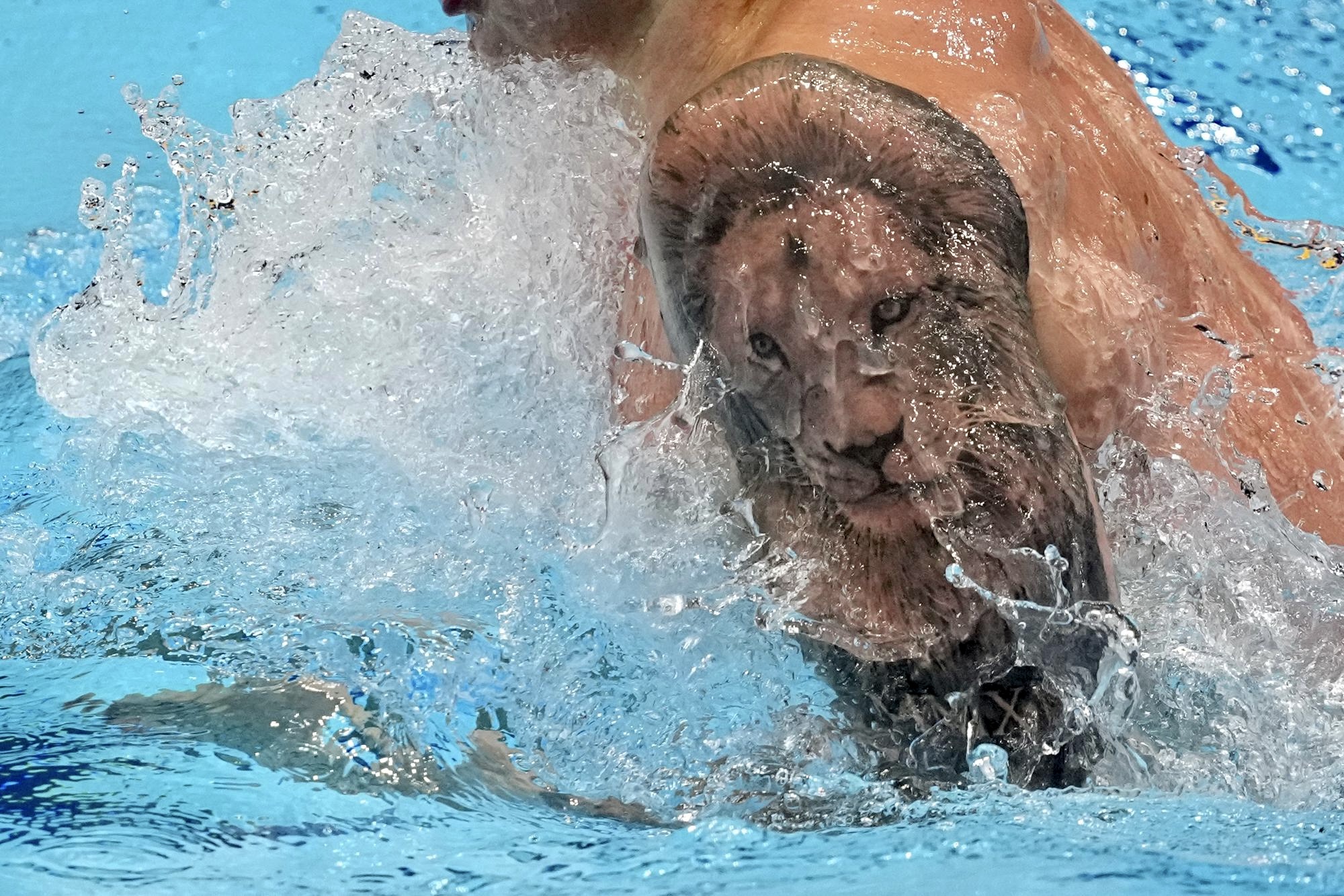 B388C109-2F55-407F-B0EC-39BA8F9CAFCC