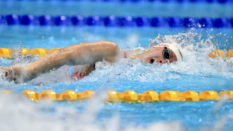 FE6E6406-AAED-4ACE-AB55-2278E4745762