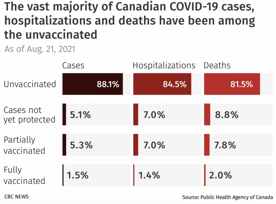 Screen Shot 2021-09-11 at 1.14.27 PM