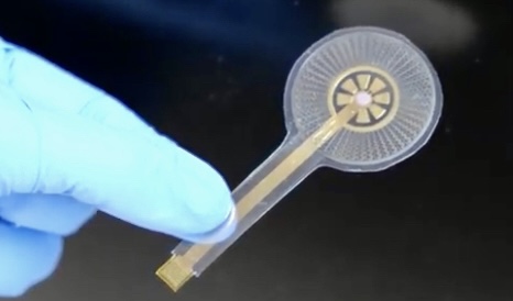 0CE8BAB7-ECD0-4373-A2B3-BDFE0F91621D