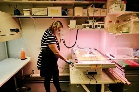 7497259E-1E7F-4C09-A2D7-C819F43149DD