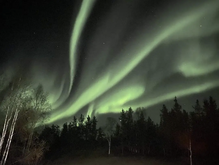 黃刀鎮拍下的極光景象。 Debbie Dumas 提供