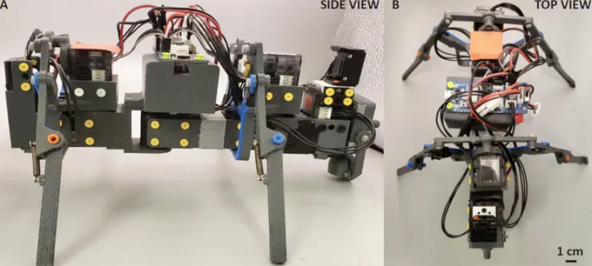 FFD6F675-B374-4F91-95D7-409556DD3E36