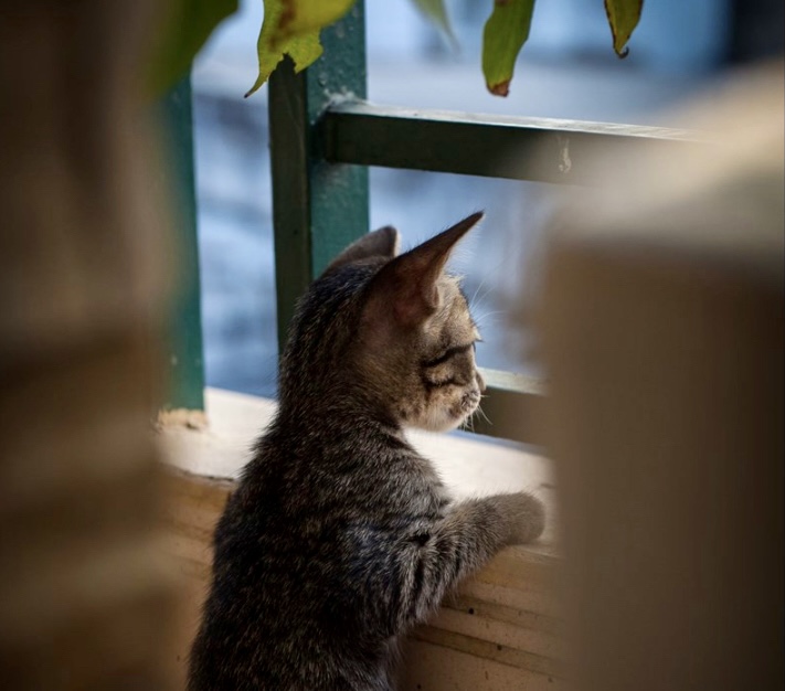 1D9C46A8-8882-4F81-8987-35BD293B9E06