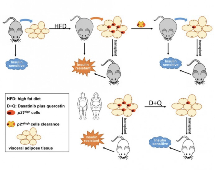 4BF3EEBF-9C98-41F5-AC0A-616C9FB15573