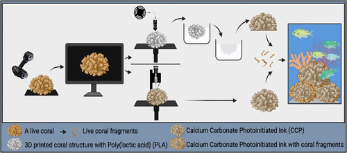 BE20C181-91BB-4A6F-AF0C-792CD02D84A2