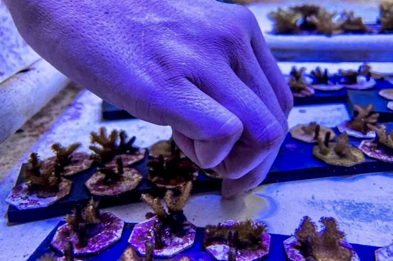 C6D34D18-6642-4962-AEF9-D6F6EA23508C