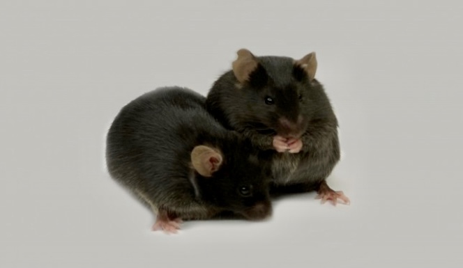 CD1E7CC6-14CE-4BB1-B250-121237AAC151