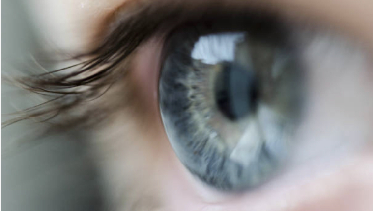 4F874CAB-BF3B-4D6E-84FB-3BC0FBEE8890