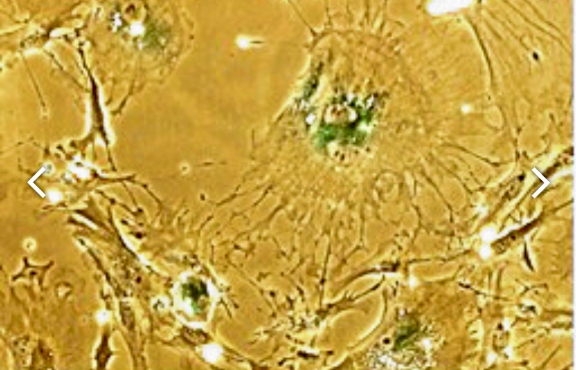 D5FC7FDD-DB64-4124-8177-909EB1C9FDA9