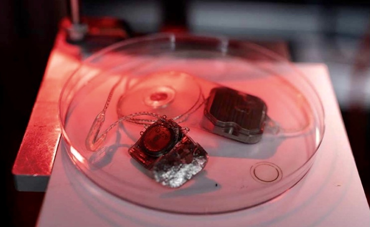 D6AF7D06-C679-487D-80C5-1723D584FCFB