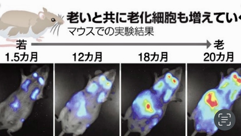 F513C00C-4DC4-417B-A935-812B348705DC