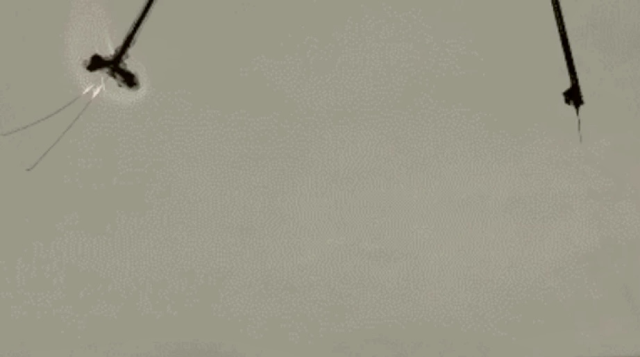 F573F0B5-333F-4517-9B8E-3A33E7666825