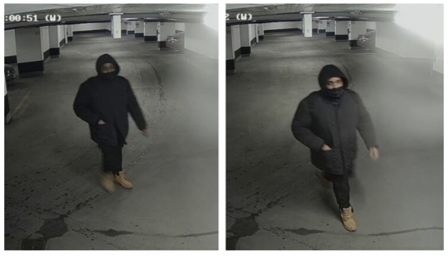 Screen Shot 2022-03-19 at 7.27.25 AM