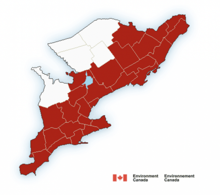 Screen Shot 2022-08-06 at 9.18.21 AM