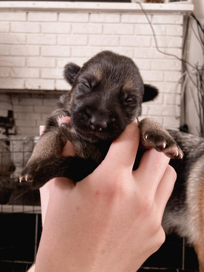 300453560_662140084975793_5507207862460250640_n